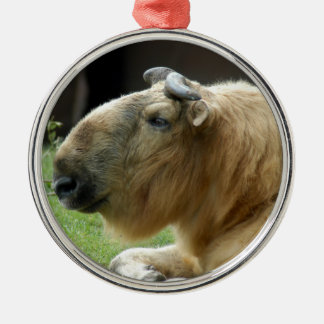 Chinees kerstkerstversiering met Takin Metalen Ornament
