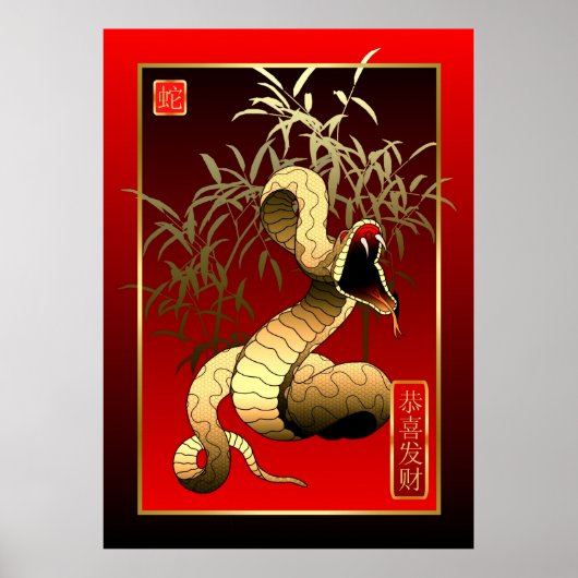Chinees nieuwjaar 2013 van de slang poster (Voorkant)