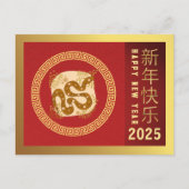Chinees Nieuwjaar 2025, jaar van de slang Feestdagenkaart (Voorkant)