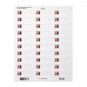 Chinees nieuwjaar/Jaar van de Draak Etiket (Full Sheet)