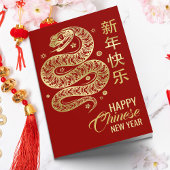 Chinees Nieuwjaar van de Slang 2025 Kaart