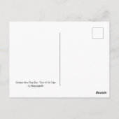 Chinees nieuwjaarsbus - Jaar van het Briefkaart va (Achterkant)