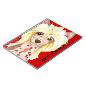 Chinees Notitieboek voor aangemaakt kleurenblok (Linkerzijde)