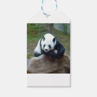 Chinees Panda Beer Cadeaulabel