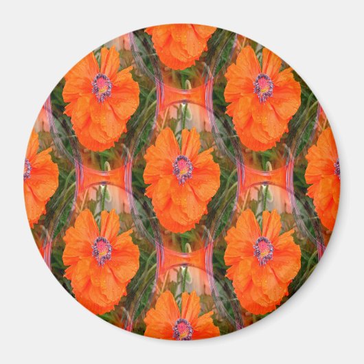 Chinees papaverveld... magneet (Voorkant)