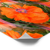 Chinees papaverveld... poster (Hoek)