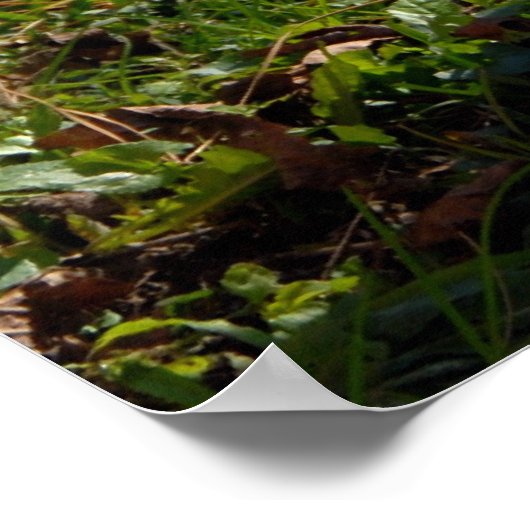 Chinees Poster met Shar-pei Puppy (Hoek)