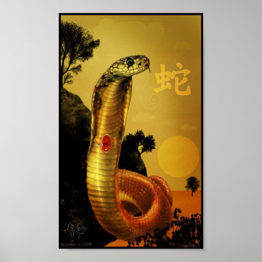 Chinees Poster Zodiac Snake (Voorkant)