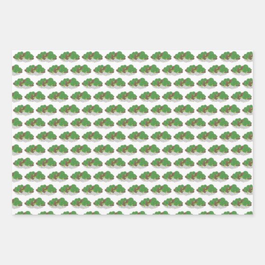 Chinees rundvlees en broccoli Fried Rice Dumpling Inpakpapier Vel (Voorkant)