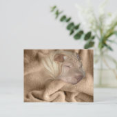 Chinees Shar Pei Camouflage, kreukelende vlek Briefkaart (Staand voorkant)