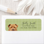 Chinees Shar Pei Hond Retouradres Labels (Insitu)