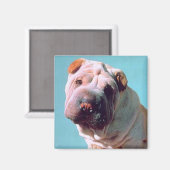Chinees Shar-Pei Magneet (Voorkant / Achterkant)