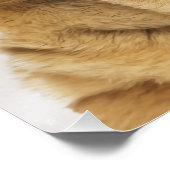 Chinees Sharpei-Poster Perfect Poster (Hoek)