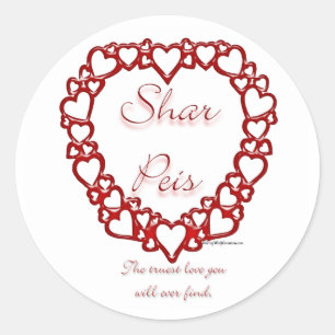 Chinees Sharpei Ware Liefde - Sticker