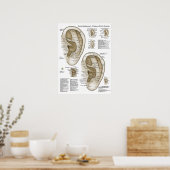Chinees systeem van auriculaire ear Acupunctuur Poster (Keuken)