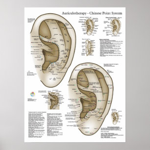 Chinees systeem van auriculaire ear Acupunctuur Poster