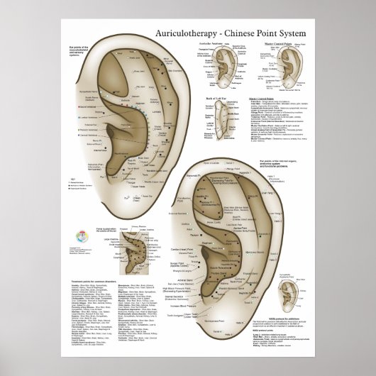 Chinees systeem van auriculaire ear Acupunctuur Poster (Voorkant)