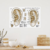 Chinees systeem van auriculaire ear Acupunctuur Poster (Keuken)