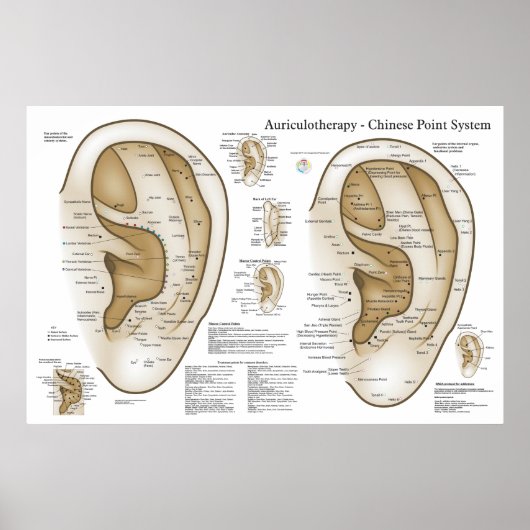 Chinees systeem van auriculaire ear Acupunctuur Poster (Voorkant)