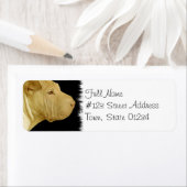 Chinees terugzendlabel voor Shar-Pei Etiket (Insitu)