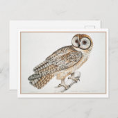  Chinees uil illustratie Briefkaart (Voorkant / Achterkant)