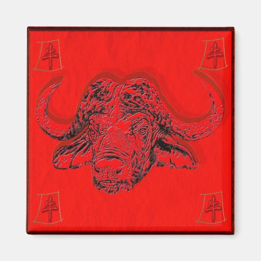 Chinese astrologie magneet (Voorkant)