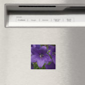 Chinese Bellflower Magneet (Insitu (Vaatwasser))