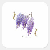 Chinese Blauweregen Vierkante Sticker (Voorkant)