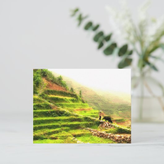 Chinese boer briefkaart (Staand voorkant)