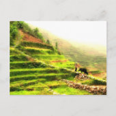 Chinese boer briefkaart (Voorkant)