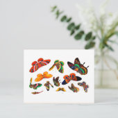 Chinese Butterfly en Insect schilderende dynastie Briefkaart (Staand voorkant)