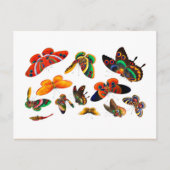 Chinese Butterfly en Insect schilderende dynastie Briefkaart (Voorkant)