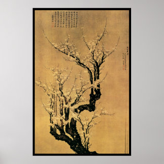 Chinese Cherry Blossom Poster