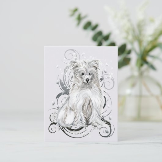 Chinese Crested Blue NB Kaart (Staand voorkant)