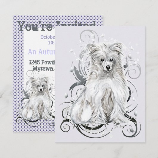 Chinese Crested Blue NB Kaart (Voorkant / Achterkant)