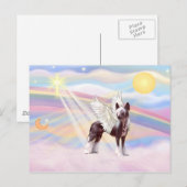 Chinese Crested Briefkaart (Voorkant / Achterkant)