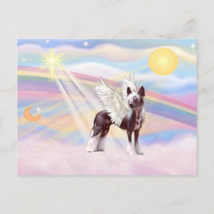 Chinese Crested Briefkaart