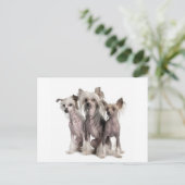 Chinese Crested Briefkaart (Staand voorkant)