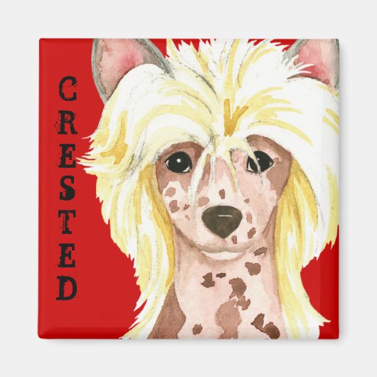 Chinese Crested Color Block Magnet (Voorkant)