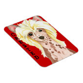 Chinese Crested Color Block Magnet Magneet (Rechterzijde)