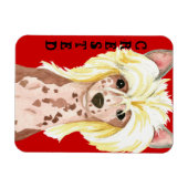 Chinese Crested Color Block Magnet Magneet (Horizontaal)