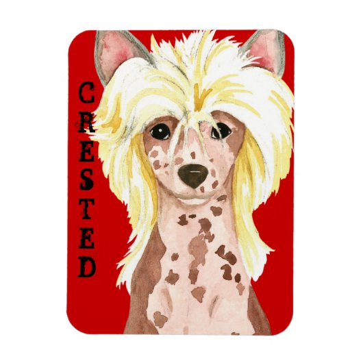 Chinese Crested Color Block Magnet Magneet (Verticaal)
