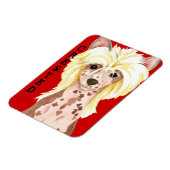 Chinese Crested Color Block Magnet Magneet (Linkerzijde)