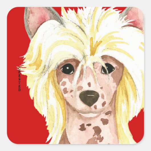 Chinese Crested Color Block Square Sticker (Voorkant)