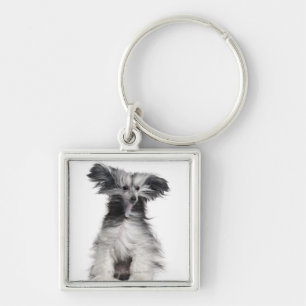 Chinese Crested Dog (15 maanden oud) in de wind Sleutelhanger