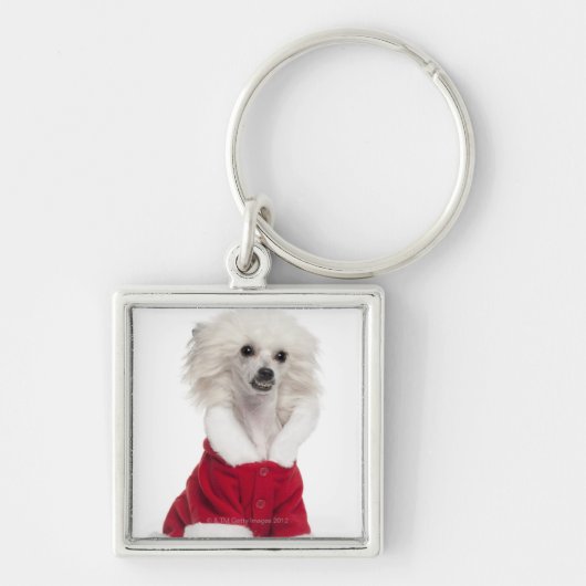 Chinese Crested Dog (1 jaar oud) met een Sleutelhanger (Voorkant)