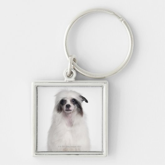 Chinese Crested Dog (7 maanden oud) Sleutelhanger (Voorkant)