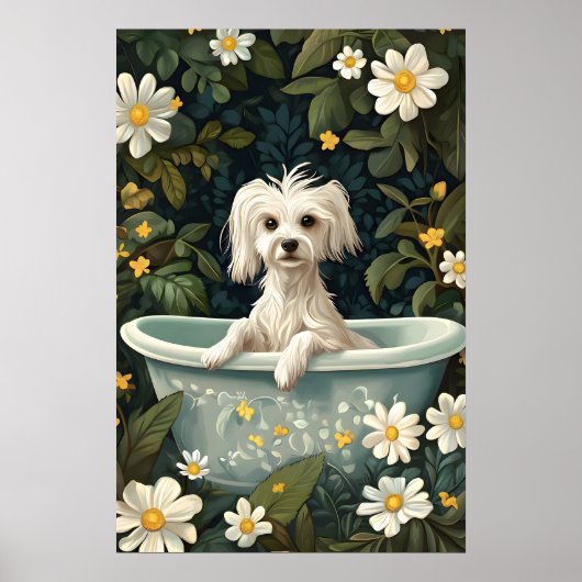 Chinese Crested Dog In Bathtub Poster, Funny Dog Poster (Voorkant)