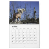 Chinese Crested Dog Kalender (Mar 2027)