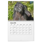 Chinese Crested Dog Kalender (Feb 2026)